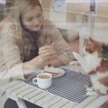 猫を室内飼いにする良い点と悪い点とは