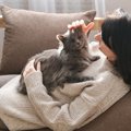 猫が『家族のケンカ』に反応する理由3選　仲裁しているの？割って入ろ…