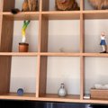 棚の上段スペースを見たら、猫たちが…思わず二度見する『圧巻の光景』に３…