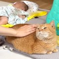 赤ちゃんを寝かしつけていると、猫がずっとそばにいてくれて…ほっこり…