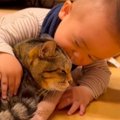 猫のことが大好きな『1歳の赤ちゃん』→頭を近づけて『スリスリ』し始…