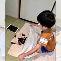 美しき兄弟愛♡寝ている猫さんにそっとタオルをかけるお兄ちゃん