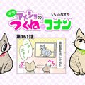 半分アメショのつくねとコナン【第161話】 「猫動画をみよう①」