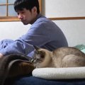 『一緒に寝たいけど…』一筋縄ではいかない猫ちゃんたちと過ごす夜