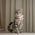 愛猫が心から『叶えてほしい』と思っている3つのこと　猫が抱いているささ…