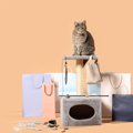 猫の飼い主が『買ってから後悔』しやすいアイテム5選　失敗しがちな原因や…