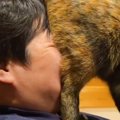 猫の『愛情表現』が激しすぎた結果…想像を超えてくる『まさかの光景』に爆…