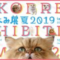 初のお化け屋敷も登場！？ねこ休み展2019夏が東京ドームシティで開催