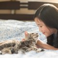 猫からの『信頼レベル』がわかるチェック項目3つ