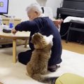 猫が『帰っていくおじいちゃん』に見せた反応…最後まで"見送る姿…