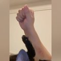 寝転がっていた子猫→目の前で手を『グーパー』してみたら…「過呼吸に…