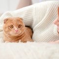 愛猫が自宅から逃げ出してしまったらどうする？！