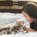 猫に伝わる「ごめんね」の方法3つ！逆効果になる行動も