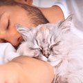 愛猫が飼い主さんを「一緒に寝ようよ」と誘っているときの行動3つ　安…