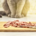 猫にチャーハンは食べさせちゃダメ！危険な具材や対処法について