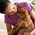 猫が『飼い主だけにする』3つの行動　特別な存在の証？より絆を深める応え方