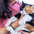 猫が『塩対応』を取りやすい場面3選　急に素っ気なくなる理由や接し方…