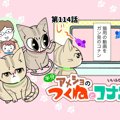 半分アメショのつくねとコナン【第114話】 「動画で遊ぼう」