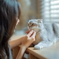猫と飼い主さんが『一緒に健康になれる』5つの行為　猫のおかげで身も…