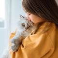 室内飼育の愛猫が見せる『亡くなる前兆』3つのサイン　飼い主さんがお…