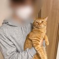 『猫を触ったことがない友人』が初めて触れた結果…まさかの"一瞬…