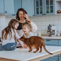猫がいる暮らしが飼い主に与える『良い変化』4選　心身の健康にもたらす効…