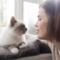 飼い主が満足でも猫には超ストレスに？猫のためになっていない4つの行為