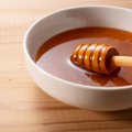 猫の命に関わる薬の副作用を『ハチミツ』が救った！「中毒性表皮壊死症」…