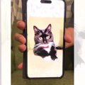 猫が『スマホの画面』から出てきたら…登場の仕方がマジックみたいで凄…