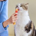 猫に「おやつをあげるタイミング」4選　一日何回？いつあげればいい？正し…