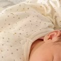 初めて『人間の赤ちゃん』を見た猫→近づいてくると…可愛すぎる瞬間に1…
