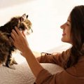 猫が思う『一緒にいると落ち着く人』って？気になる4つの特徴と理由