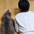 男の子のとなりで一緒にくつろぐ『大型猫』…思わず抱きつきたくなる『…