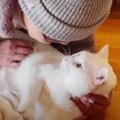 大好き♡猫ちゃんの大ファン現る！