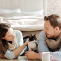 仲裁している？猫がケンカをする人に怒る理由