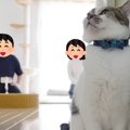 猫はパパとママ『どちらを選ぶ？』→同時に呼んでみた結果…笑ってしまう『…