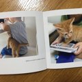 298円で愛猫の写真集が作れる？今話題の「しまうまプリント」