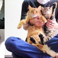 飼育放棄とママ猫不在から保護した子猫たち……“猫中心”になった生活が…