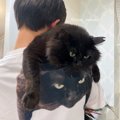 まさかの『完全一致』！Tシャツにプリントされた黒猫と本物の見事な共…