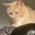 出産日前日、『陣痛に耐えるママ』に……『猫が見せた行動』に笑顔になる人…