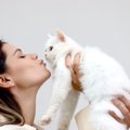 猫との『キス』でうつるかもしれない病気3選　知っておくべき感染の危険性…