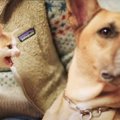 『草むらから現れた保護子猫』と先住犬が一緒に暮らした結果…1年後の…