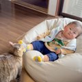 『22匹の猫が暮らす実家』に赤ちゃんを連れて帰省したら…癒されすぎ注…