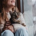 常に狙われている！？猫の秘密結社『NNN』にまつわる5つの秘密　海外にも…
