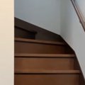 上の階にいる『甘えん坊猫』の名前を呼ぶと、次の瞬間…あまりにも『尊すぎ…