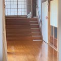 ふわふわの白い長毛猫ちゃん→『長い廊下』に出てくると…見惚れるほど…