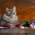 世紀末のパリで人々を魅了したポスターの「黒猫」　自由気ままな「ボ…