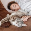 猫が人の傍で「ゴロン♪」する時の気持ち4つ！飼い主への要求とは？