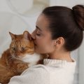 『猫に話しかける』ことのメリット3選　猫が喜ぶ話し方やタイミングな…