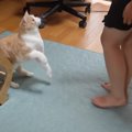 大好きな娘がいなくて『元気のない猫』が…『3日ぶりの再会』で見せた…